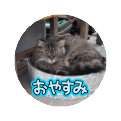 NABU_20250323210814