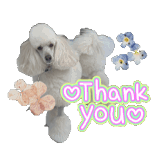 amour_20250323235050