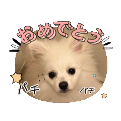 chiro_20250324012800