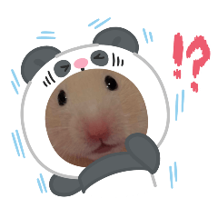 HAMUHAMU_20250322120113