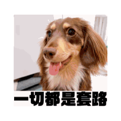 妞妞神顏動動動