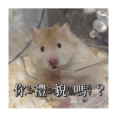 中獎祝你中獎