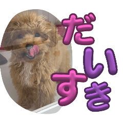 arisa_20250322171756