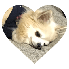 sooooo sweet