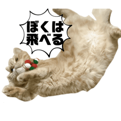 nAo_20250323152201