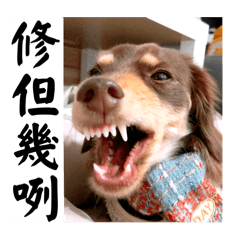 妞妞神顏2