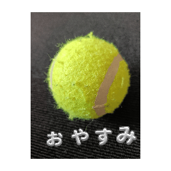 nitamago_20250323115115