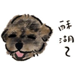 ANIKIの日常