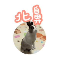 Xixi_20250324072533 – LINE stickers | LINE STORE