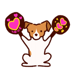 jack russell terrier is cute