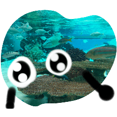 eye view