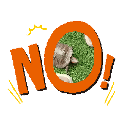 咕R呱呱