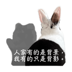 Hani 日常
