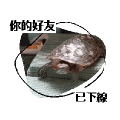 龜之動態貼圖