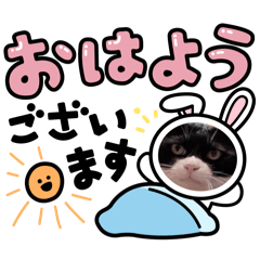 miki_20250323211839