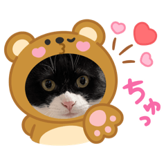 miki_20250323212900