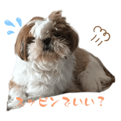 SaYa_20250324090149