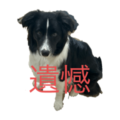 MIKI_20250323195230