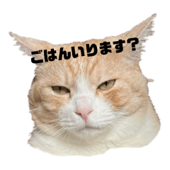 ma_20250323204423