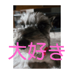 chiro_20250323175822