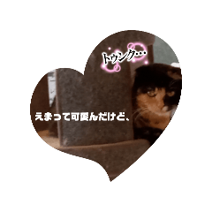 II_20250323193305