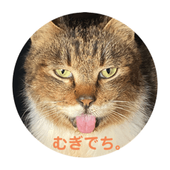 Yuzu_20250323193457
