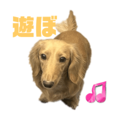 kabata_20250324011612