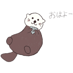 Cute little small otter