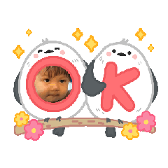 Bodhi_20250324113607