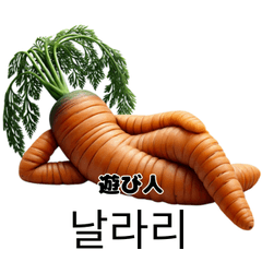 Korean Slang and Carrots