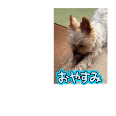 Kayo_20250323203157