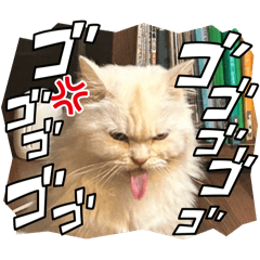 keiko_20250323202959