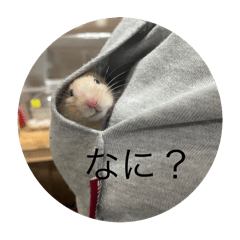 yuto_20250323203648