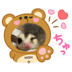 ellie_20250323210038
