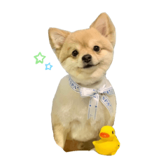 COCO_20250323210554