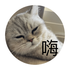 腳妹起床啦