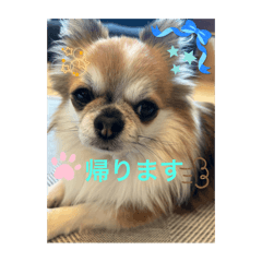 yume_20250323194612