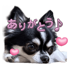 hono_20250323200958