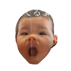 hono_20250323224324