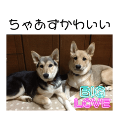 chinatsu_20250323224235