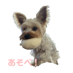 HIKARI_20250323225443