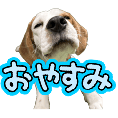 rrr_20250323232415