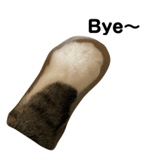 ma_20250323234303