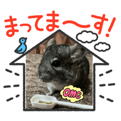 choco_20250324001323