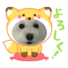 Yumi_20250324004049