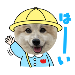 yuka_20250324111933