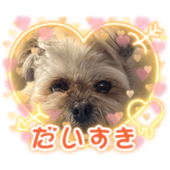 risa_20250323224256