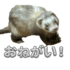 Aoi_20250324124628