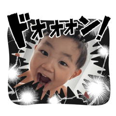 taiga2025