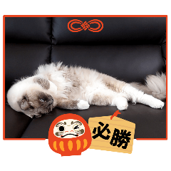 nana_20250324143648